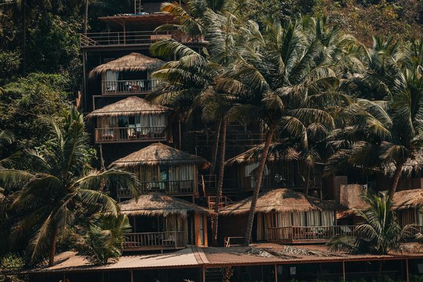 Quelles sont les meilleures croisières pour observer les dauphins en mer Adriatique?